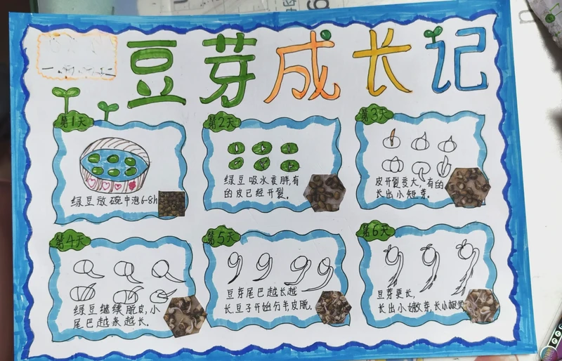 满身泥点子的绿化监理日记｜这树苗怎么又歪了？