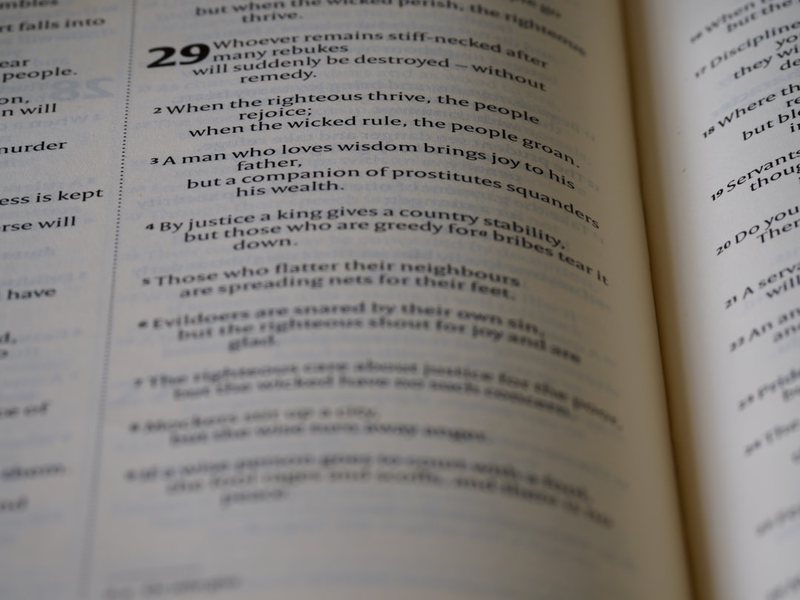 220字的奇妙旅程？