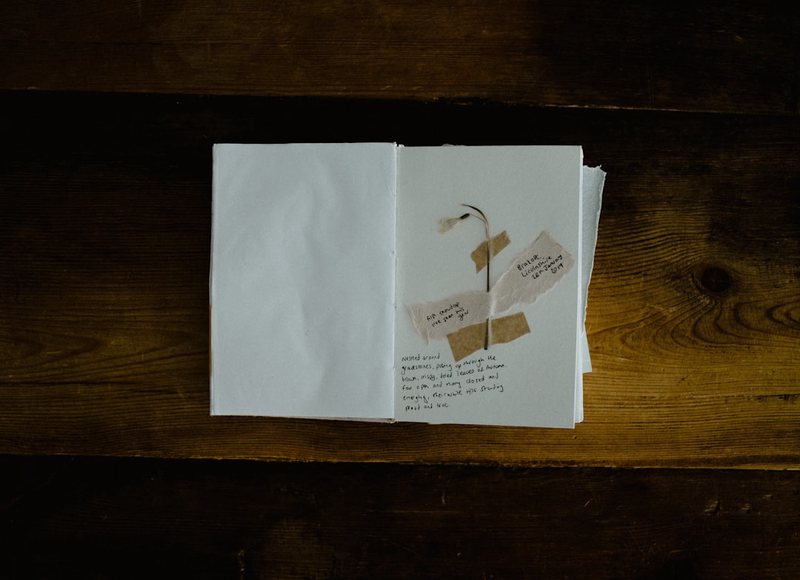 豆子在碗底偷偷发芽了… 豆子在碗底偷偷发芽了…