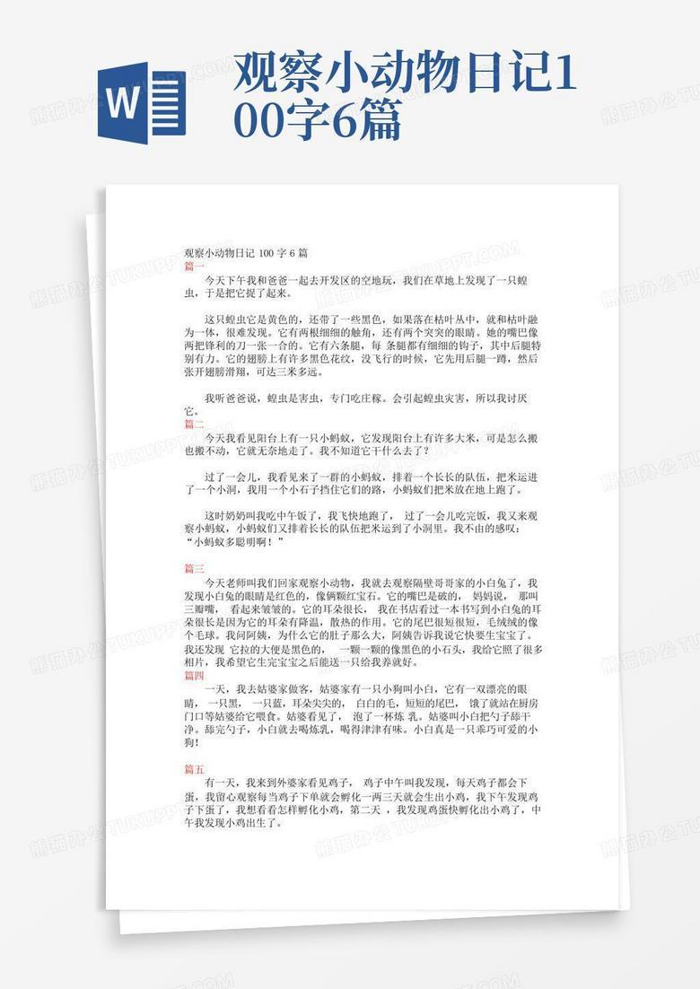 与小兔子的温馨午后！