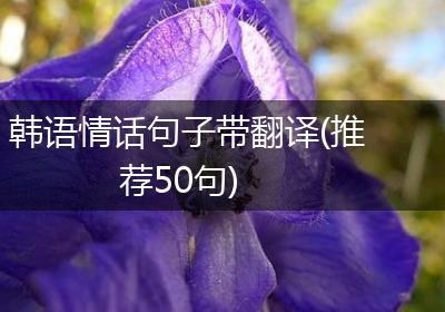 韩语情话大全：那些藏在语言里的温柔