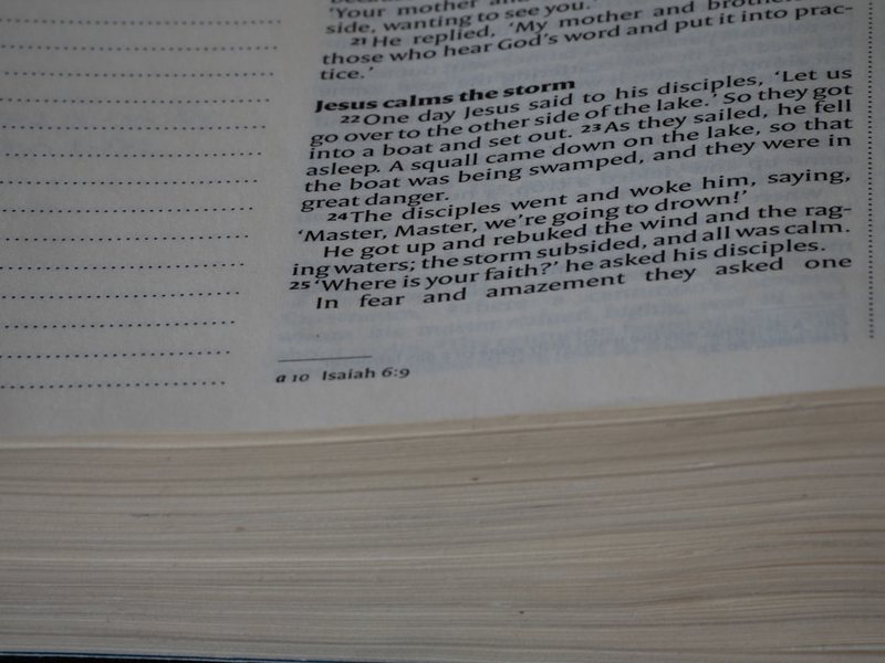 英语学习的挣扎与进步… 英语学习的挣扎与进步…