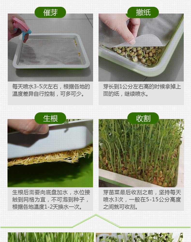 纸上种菜，心灵种花！