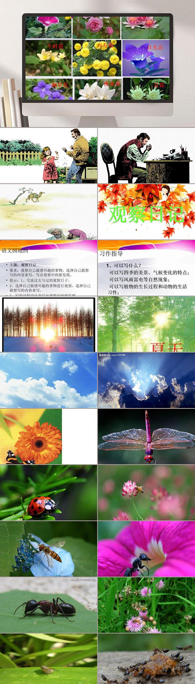 水里的“绿胖子”终于醒了? 水里的“绿胖子”终于醒了?