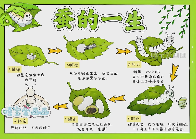 小生命里的大奇迹… 小生命里的大奇迹…
