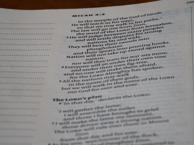 豆芽长出第一片绿，我突然懂了什么…