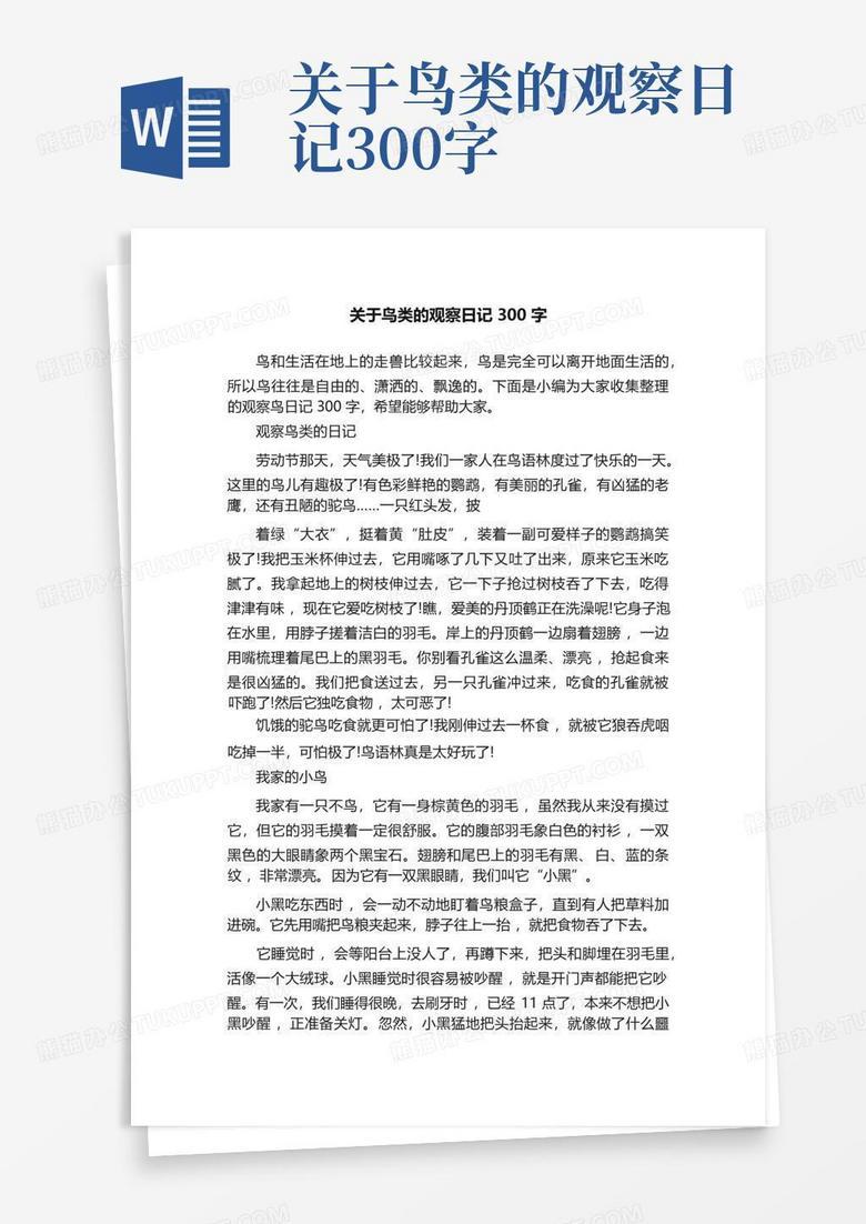 楼下那只不会跑的蜘蛛