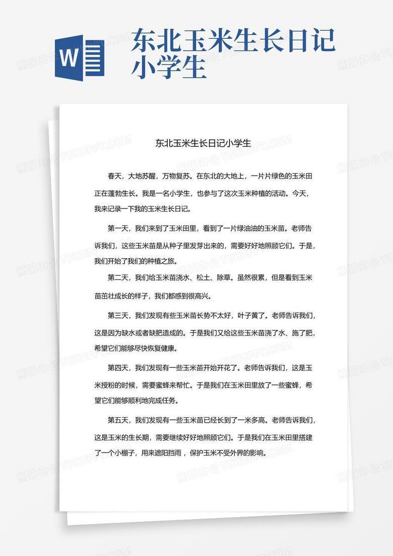 玉米地里的秘密! 玉米地里的秘密!