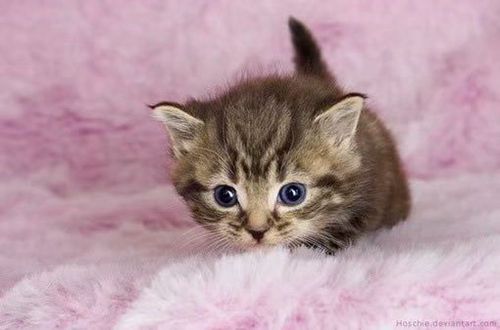 九月情话—那些温柔又动人的瞬间