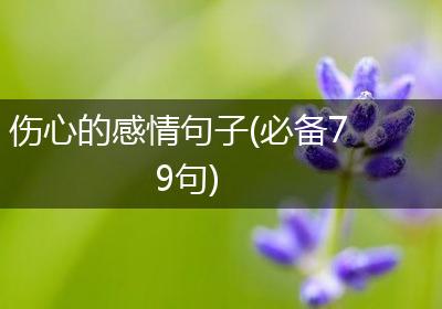 那些刺痛心扉的伤情话语，也曾是我无法说出口的真心？