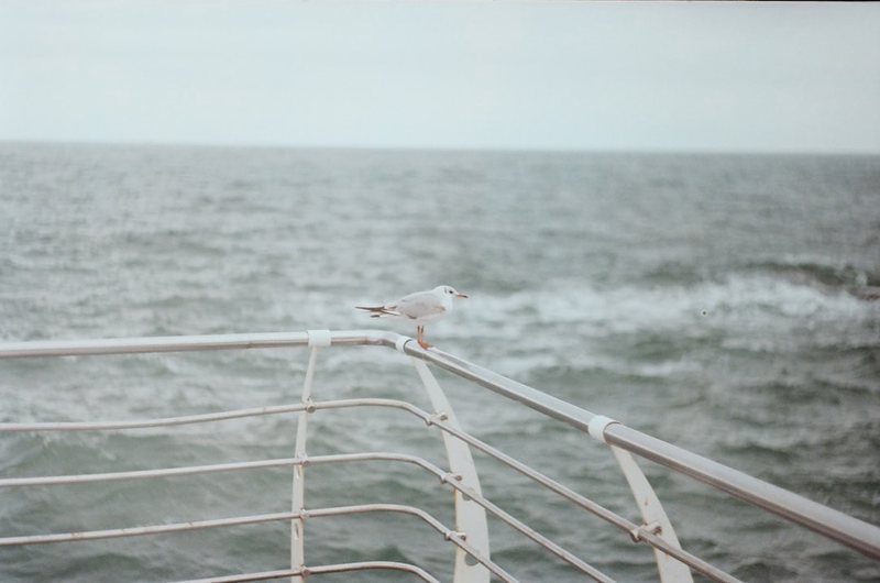 大英死海｜漂浮的奇妙与思考