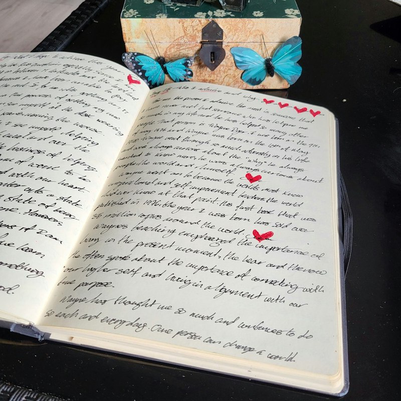 与狗狗的午后时光？