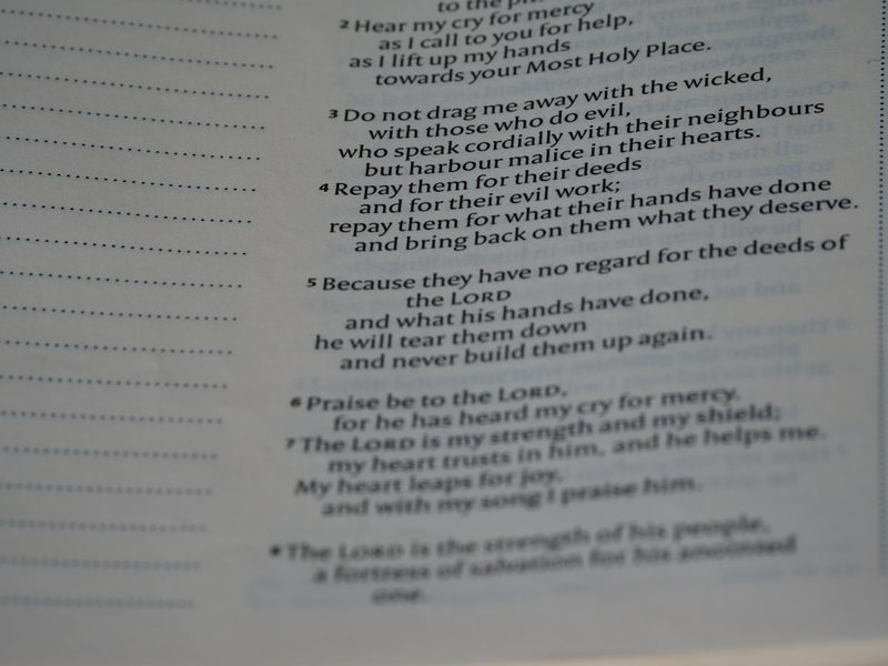 校园里的微风与梦想…