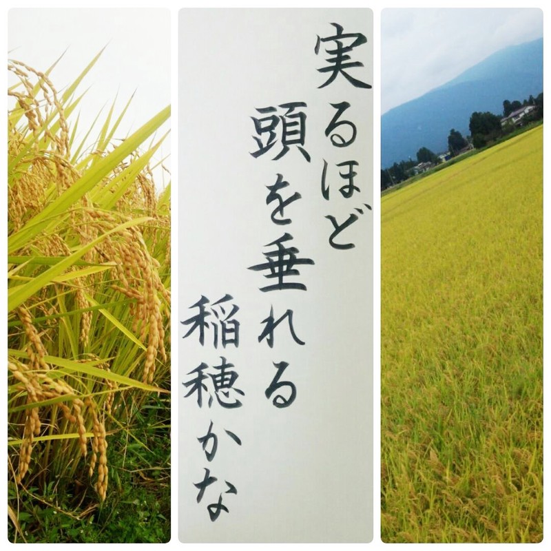 秋天来了，我发现了什么…