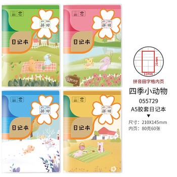 今天，我终于学会了拼音日记的写法！