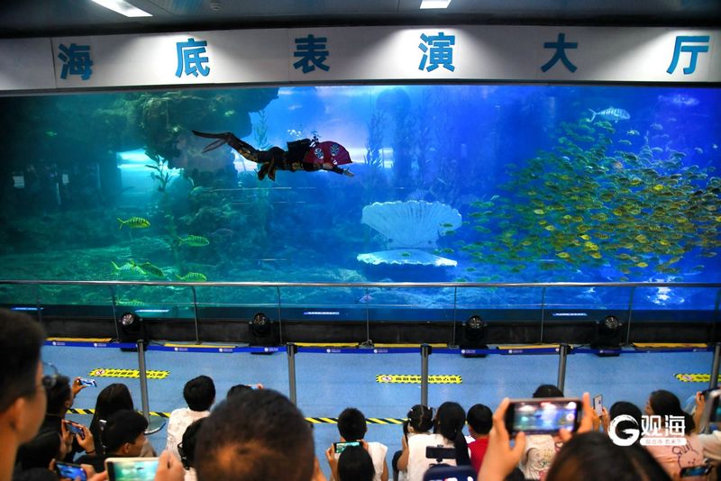 逃离陆地，潜入深蓝—青岛海底世界一日游