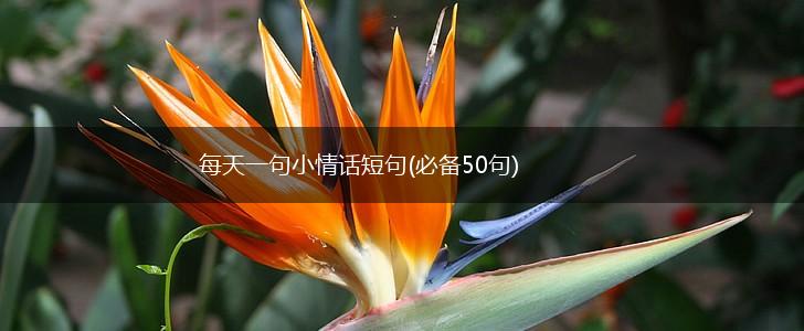 情话轻吟，爱意绵长·—每天一句简短小情话