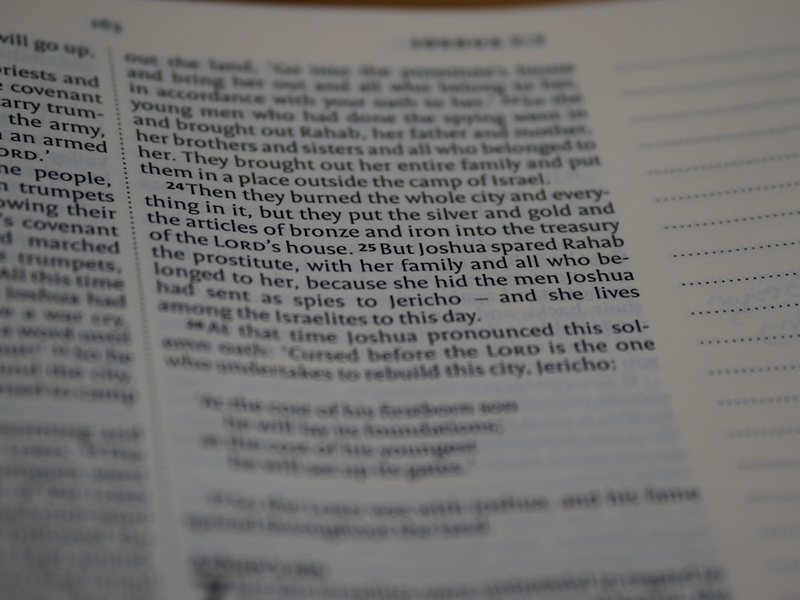 今天,我下载了那本古老的书… 今天,我下载了那本古老的书…