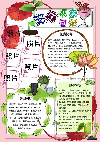 每一次观察，都是一次心灵的旅行…