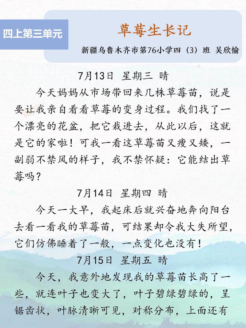 那个红彤彤的下午：关于草莓的碎碎念