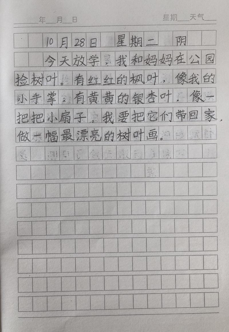 抄了三天日记，我好像真的变了…