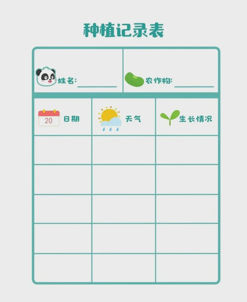 种子的奇妙旅程！