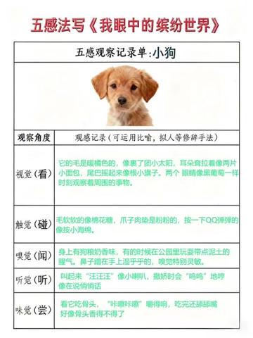 今天和小动物的意外相遇…