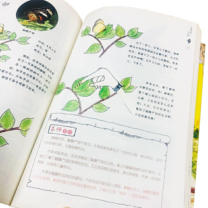 清晨的院子，一只蜘蛛在织网…