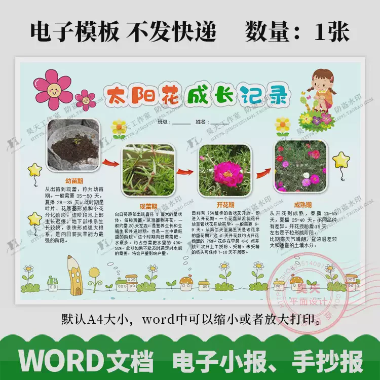 观察红薯日记