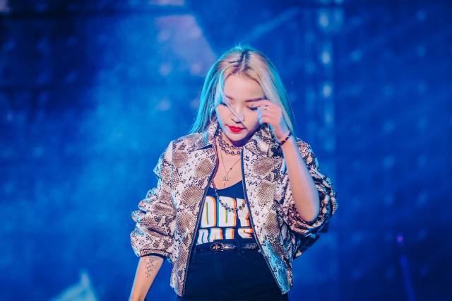 情话藏在歌里，爱意融入旋律！