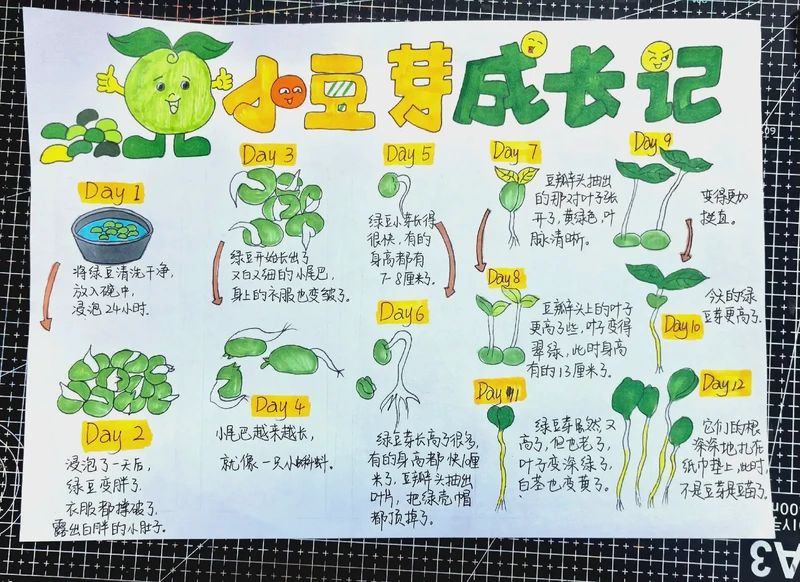 豆芽冒头那天，我突然哭了？