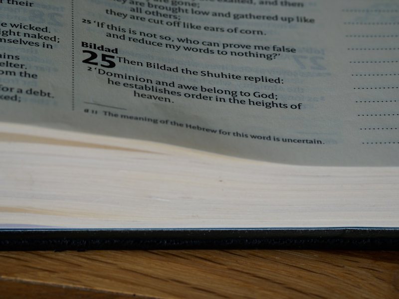 今天写了300字日记，居然发现生活有这么多细节！