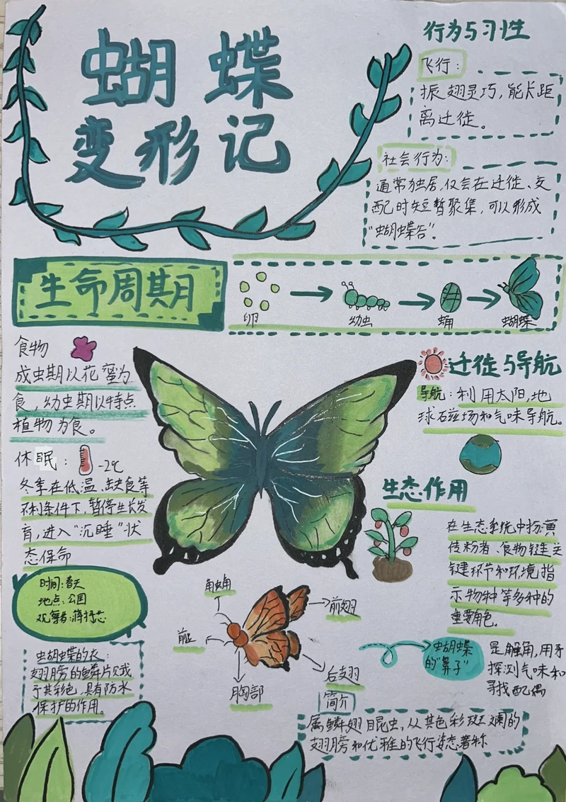 今天的大班观察日记… 今天的大班观察日记…