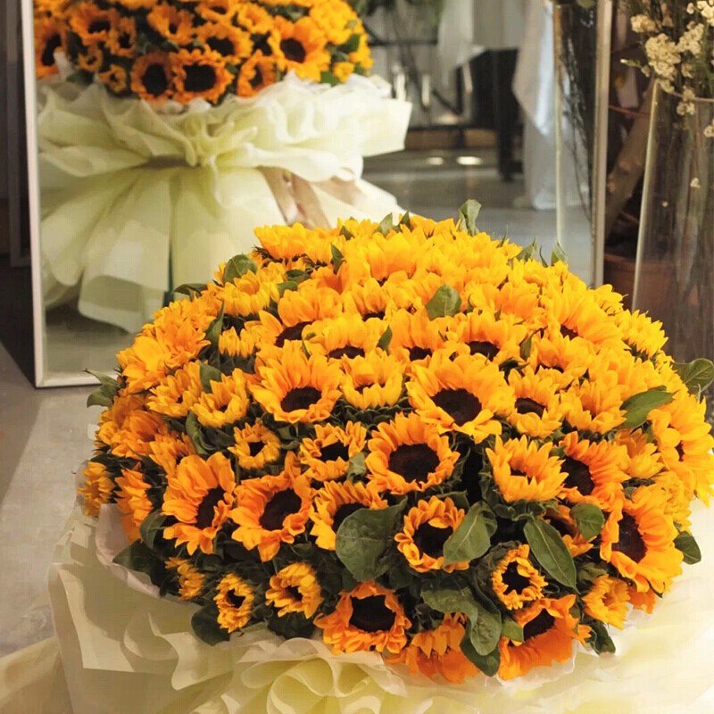 阳光下的温柔呢喃…