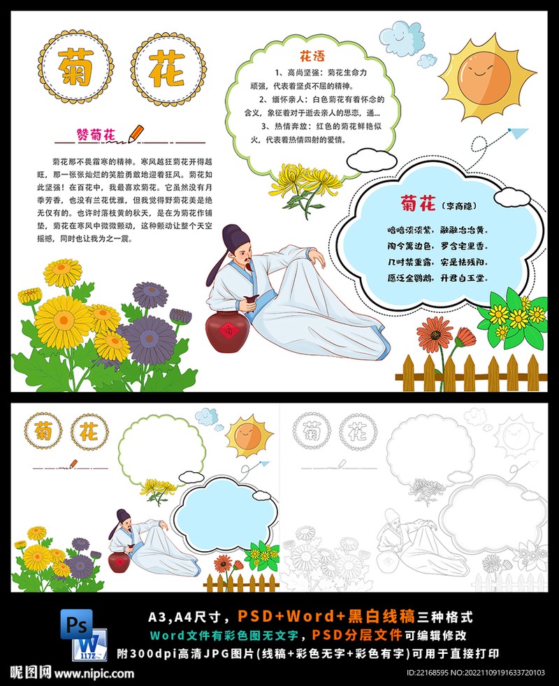 今天我观察了菊花的生长过程？