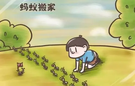 那些忙碌的小小身影丨—蚂蚁搬家日记 那些忙碌的小小身影丨—蚂蚁搬家日记