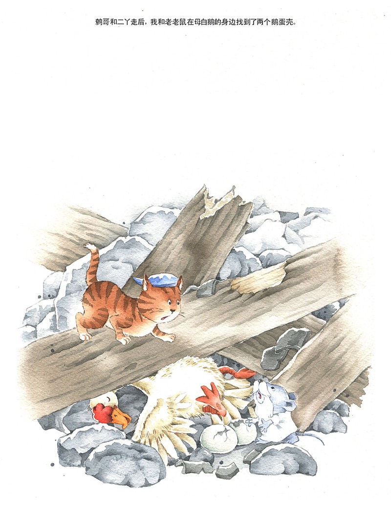 雨天的巷口，一只猫在等我！