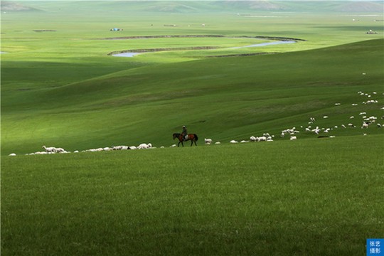 风的低语与心的归宿？