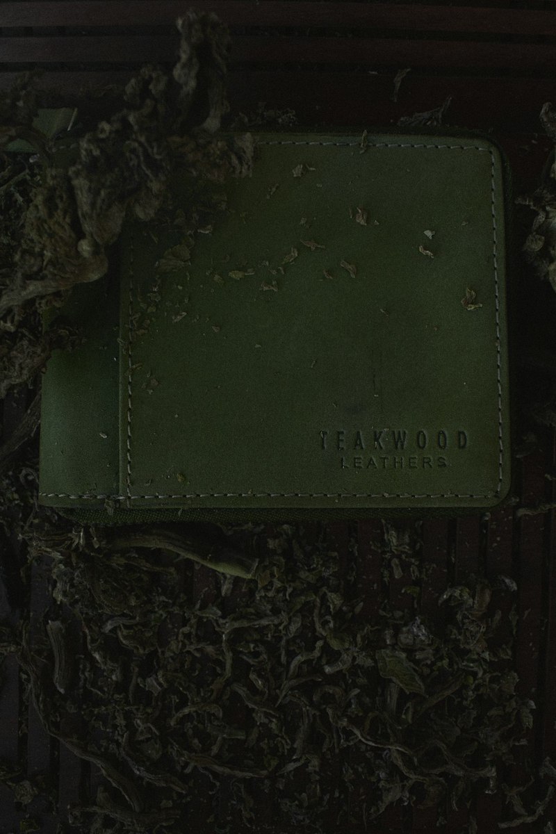 草的观察日记丨生命的坚韧与美丽 草的观察日记丨生命的坚韧与美丽