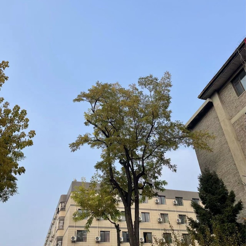 我的日记日记日记…