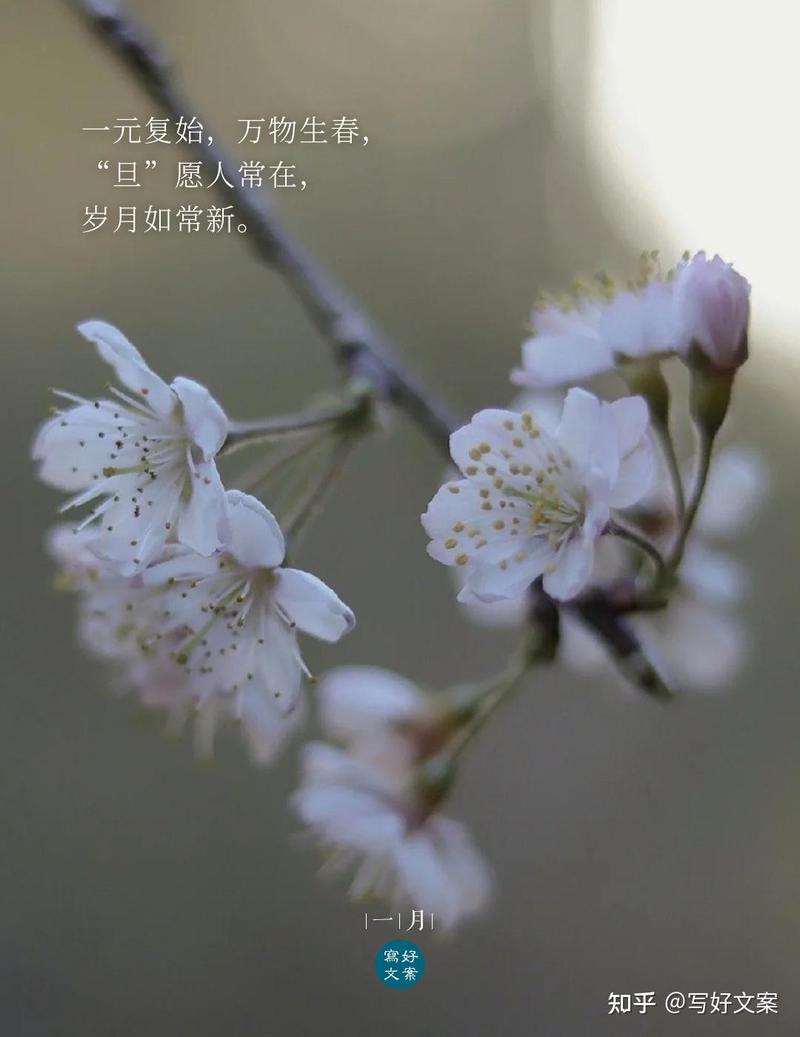 一个月的浪漫情话—甜蜜心事分享