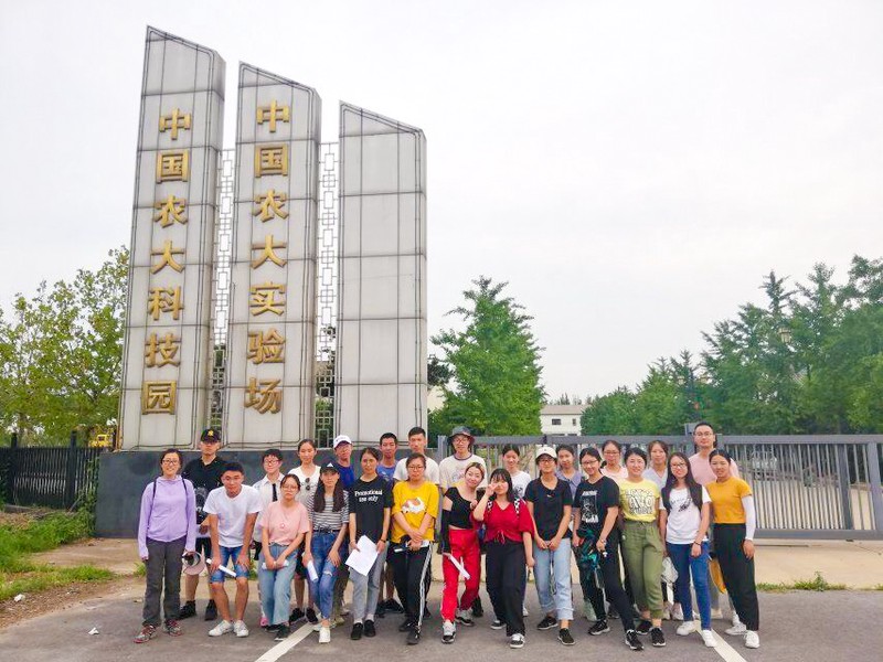 灰尘、安全帽和一盒20元的盒饭·我在工地的真实一天 灰尘、安全帽和一盒20元的盒饭·我在工地的真实一天