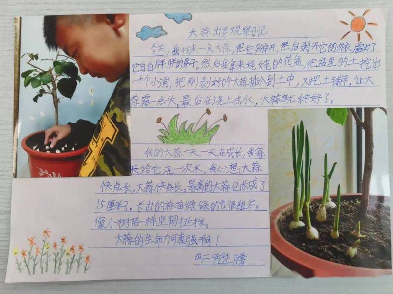 四天的微光—生活中的细腻与感动 四天的微光—生活中的细腻与感动