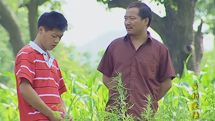 乡村的甜蜜回忆，下载一份爱情故事！