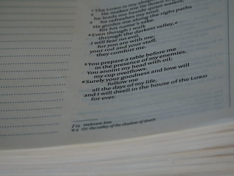 考试之后的轻松时光? 考试之后的轻松时光?