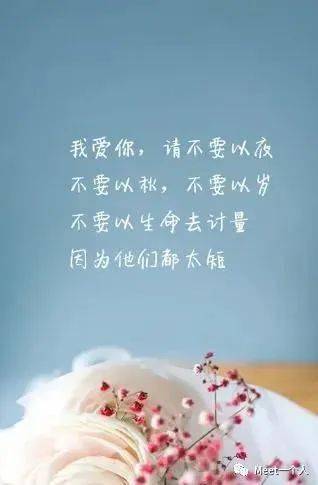 最动人的爱情语言:那些藏在生活里的温柔告白 最动人的爱情语言:那些藏在生活里的温柔告白