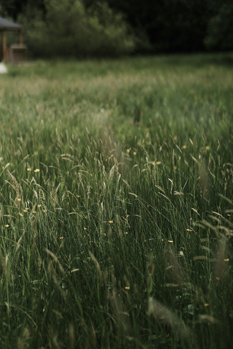 乡下的爱情故事？