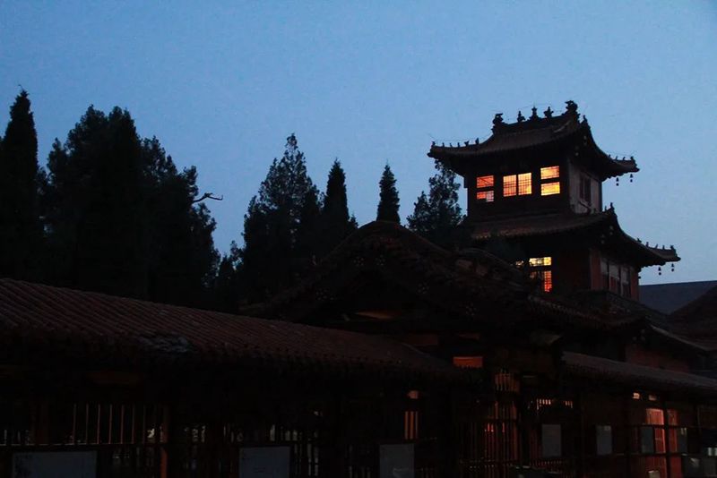 风太大，连心情都被吹乱了？