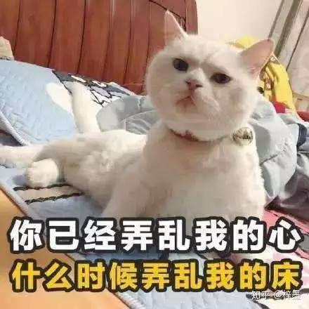春风里的温柔|那些触动心弦的情话 春风里的温柔|那些触动心弦的情话