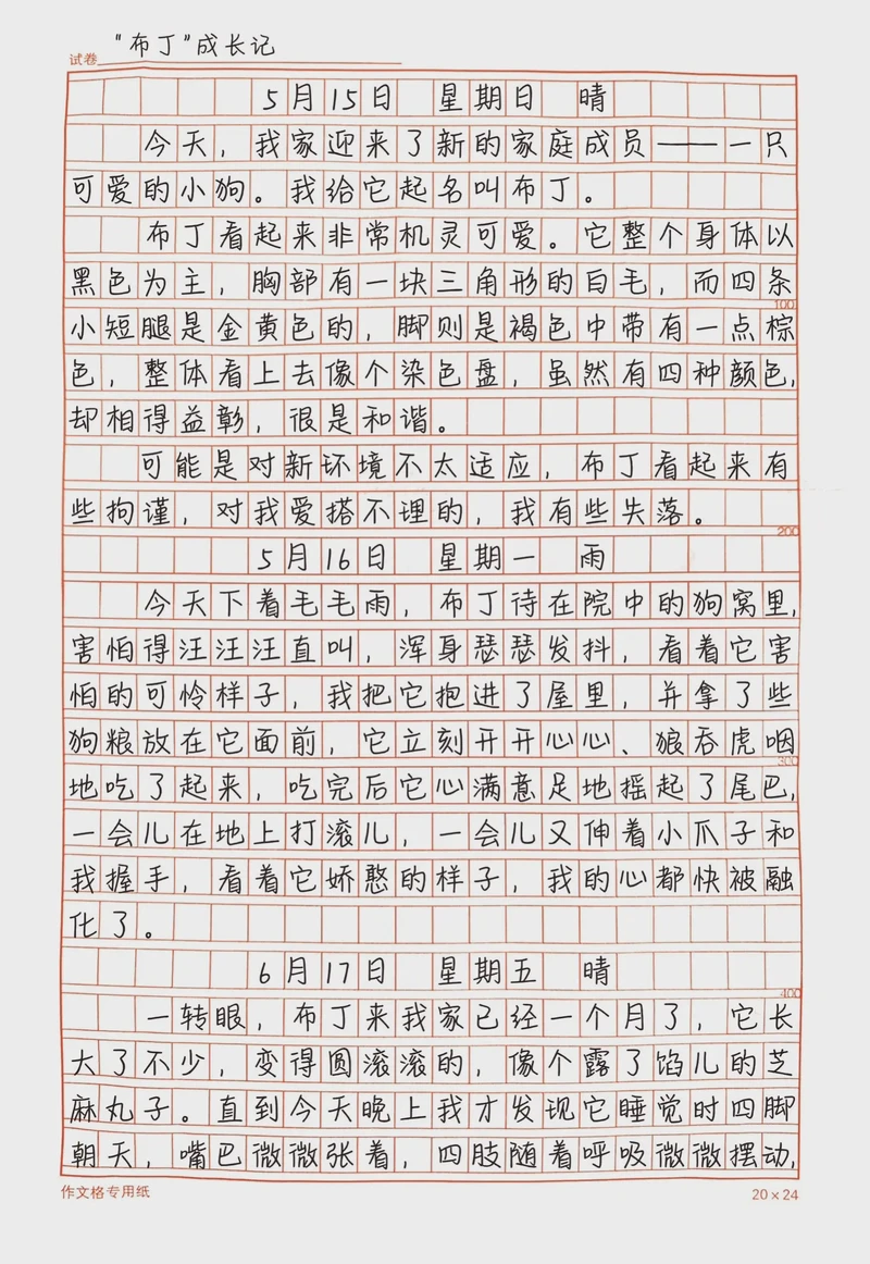 我家的小狗今天又惹麻烦了… 我家的小狗今天又惹麻烦了…